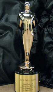 telly award 2010