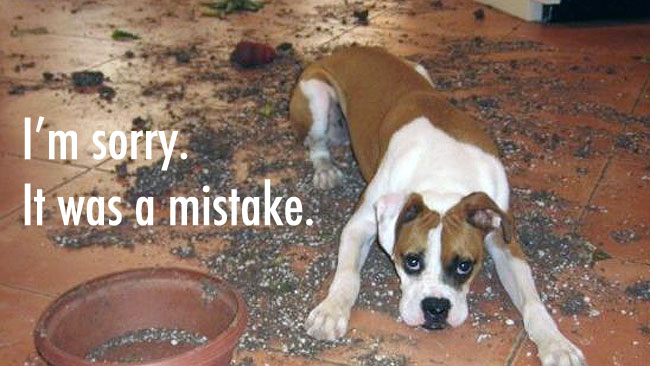 7 website mistakes