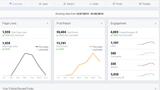 facebook insights small