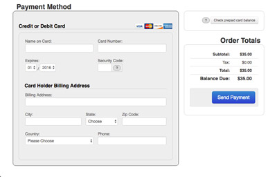 Payment Form